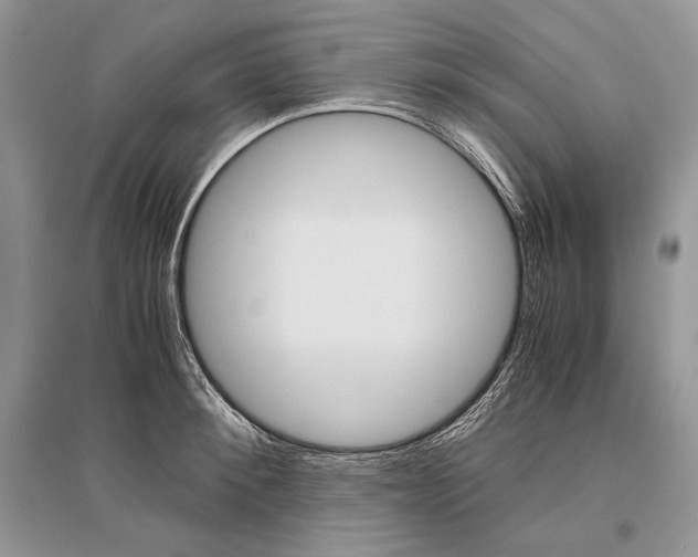 X0000096480900200801241144
