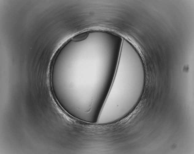 X0000096480902200801241144