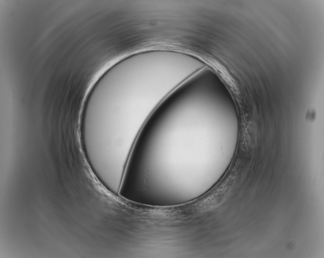X0000096480904200801241144
