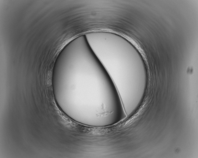 X0000096480905200801241144
