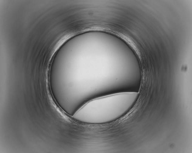X0000096480906200801241144