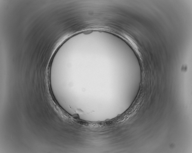 X0000096480907200801241144