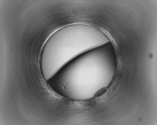 X0000096480908200801241144