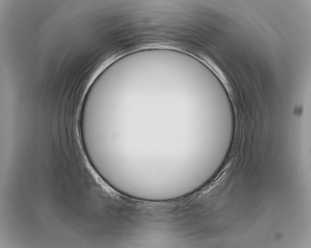 X0000096480909200801241144