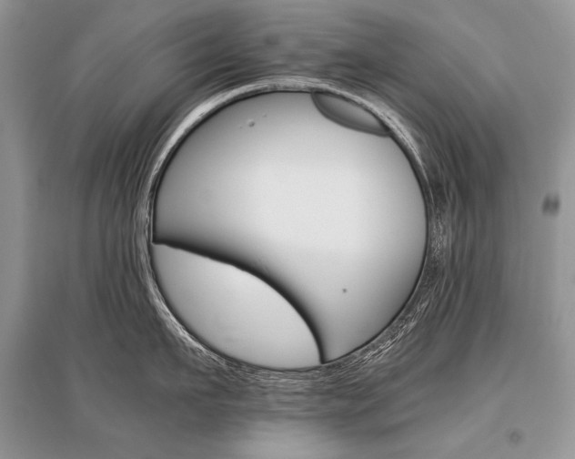 X0000096480911200801241144
