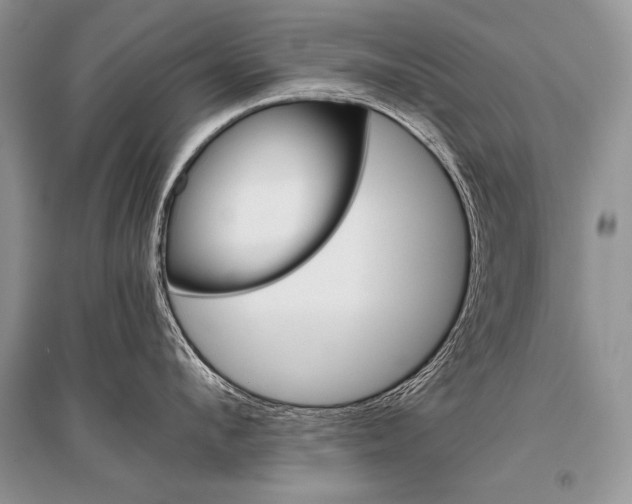 X0000096480912200801241144