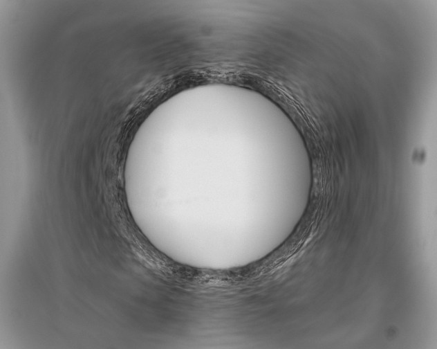 X0000096480913200801241143