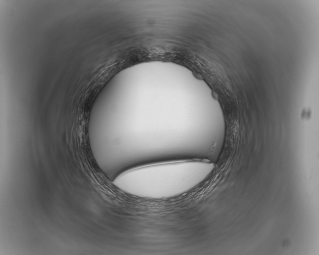 X0000096480914200801241143