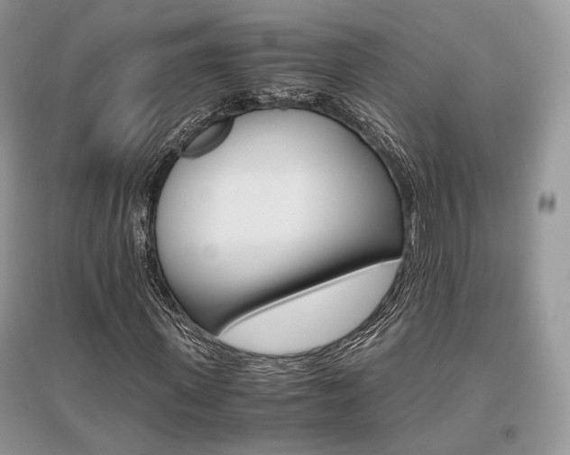 X0000096480915200801241143