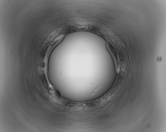 X0000096480916200801241143