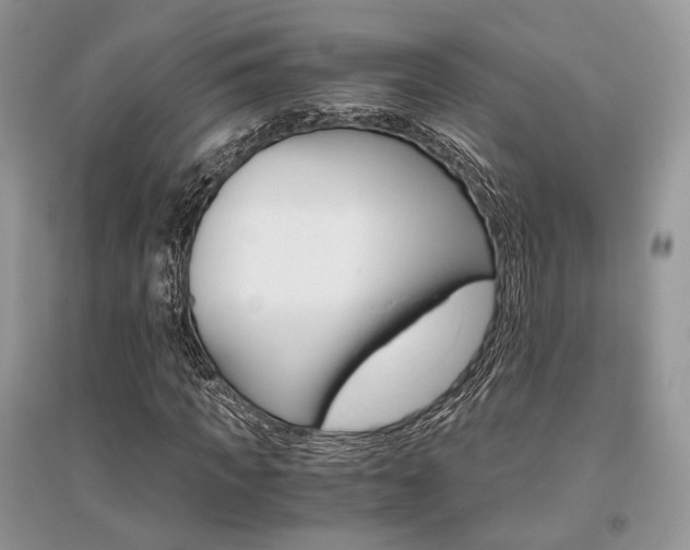 X0000096480917200801241143