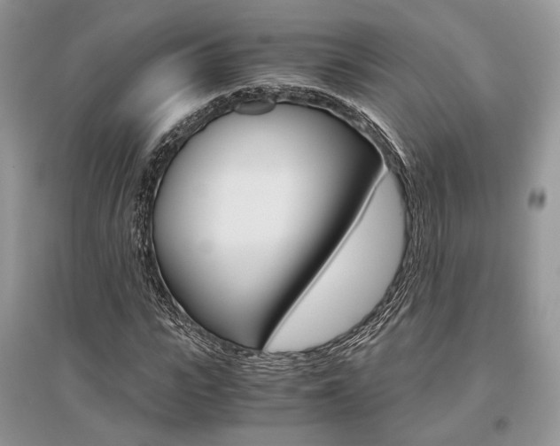 X0000096480919200801241143