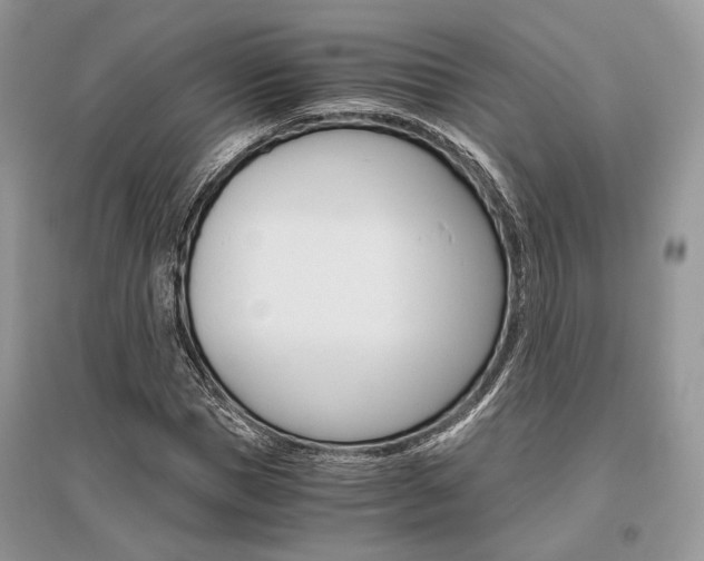 X0000096480921200801241143