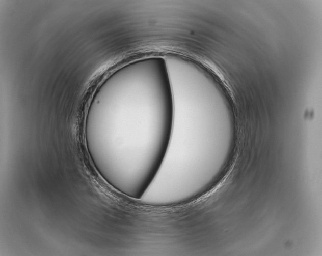 X0000096480922200801241143