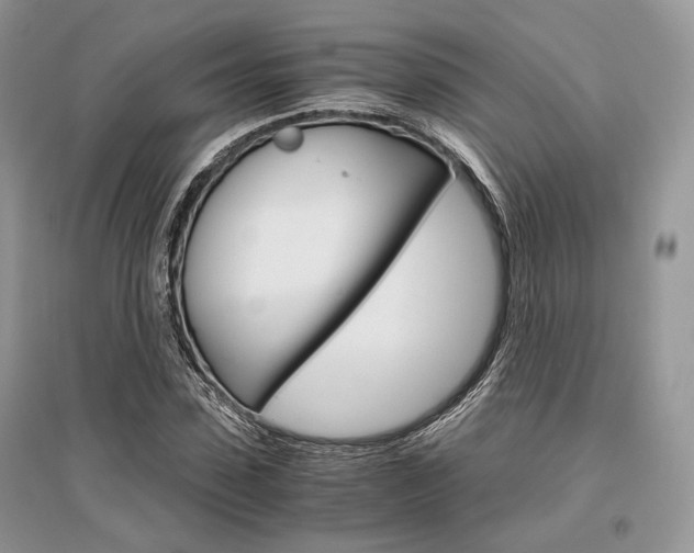 X0000096480923200801241143