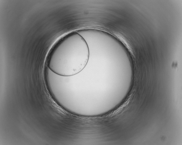 X0000096480924200801241143