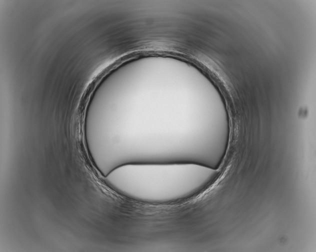 X0000096480925200801241143