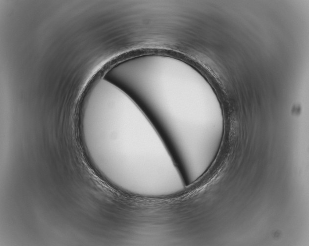 X0000096480926200801241143