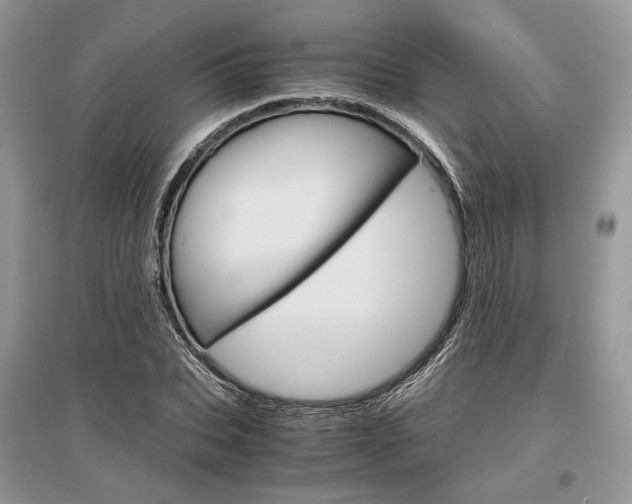 X0000096480927200801241143