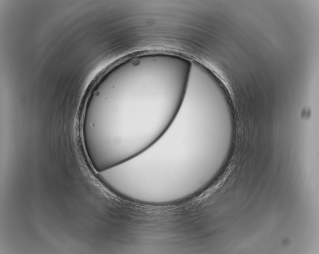 X0000096480928200801241143