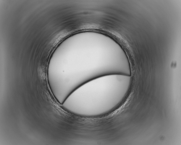 X0000096480929200801241143