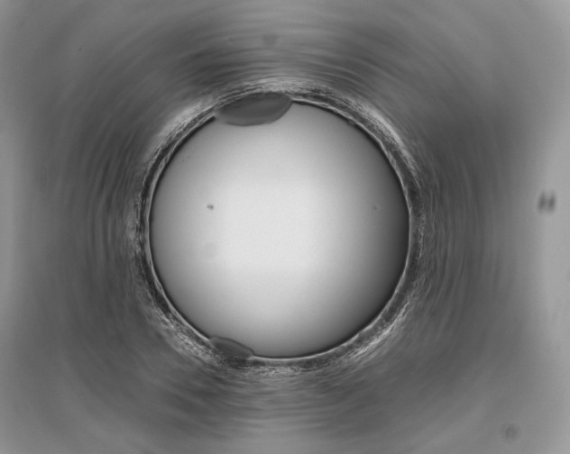 X0000096480930200801241143