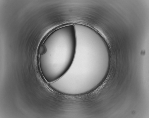 X0000096480932200801241143