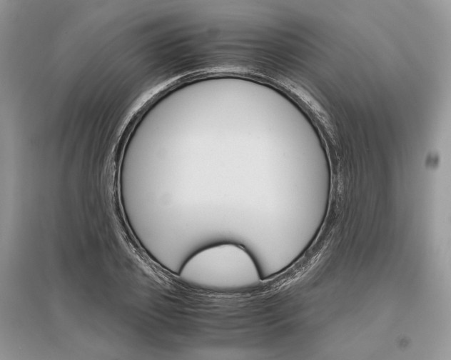 X0000096480933200801241143