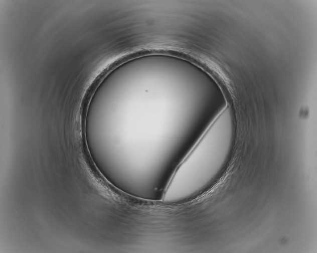 X0000096480934200801241143