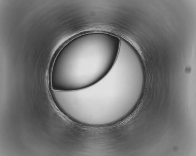 X0000096480936200801241143