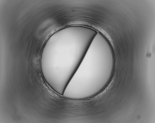 X0000096480937200801241143