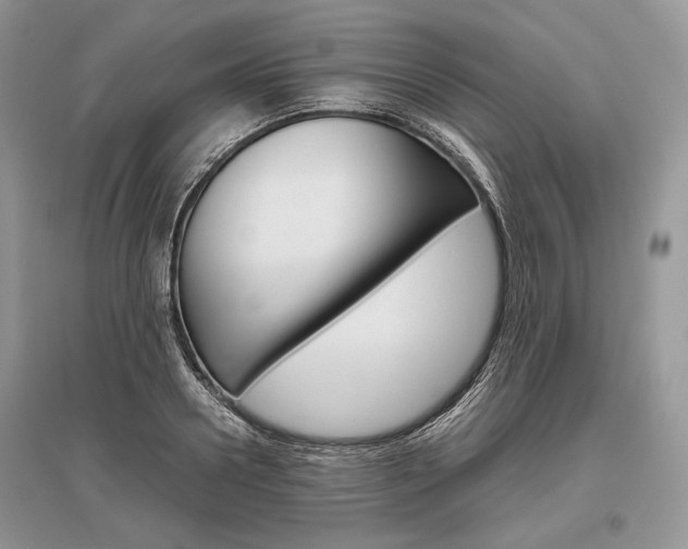 X0000096480938200801241143