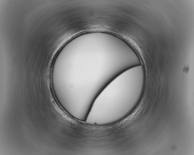 X0000096480941200801241143