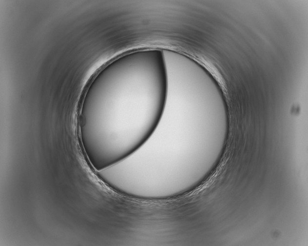X0000096480944200801241143