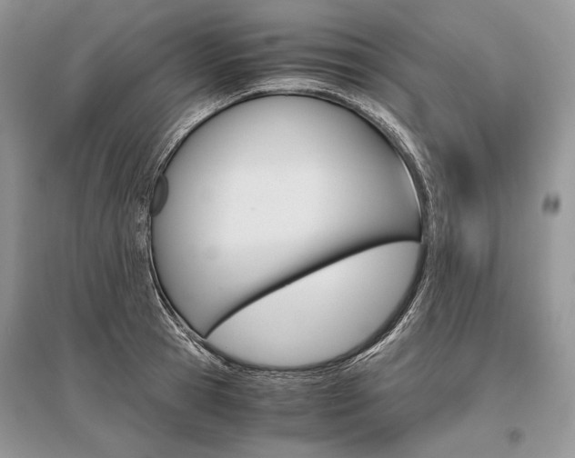 X0000096480945200801241143
