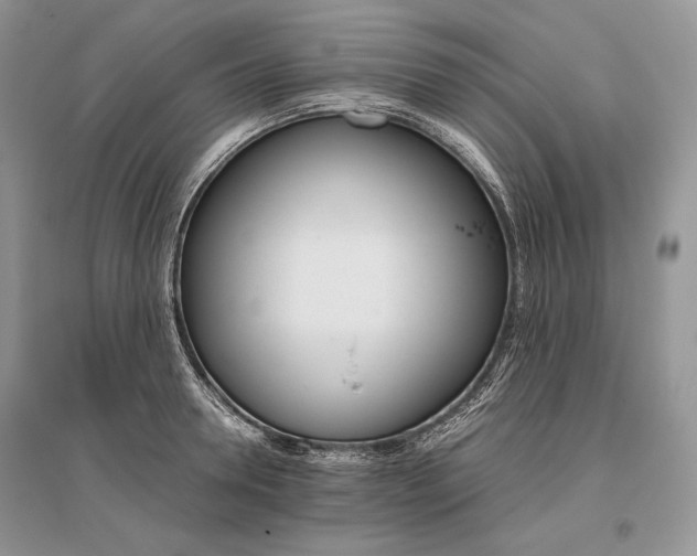 X0000096480946200801241143
