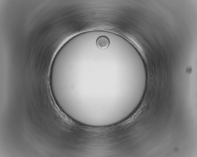 X0000096480948200801241143