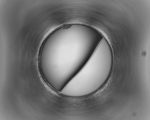 X0000096480949200801241143