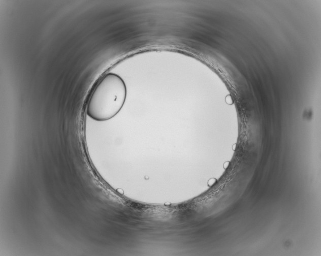 X0000096480950200801241143