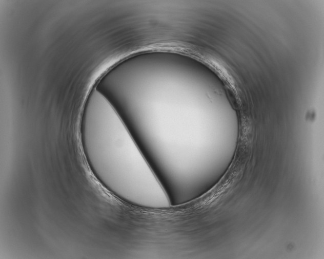 X0000096480952200801241143
