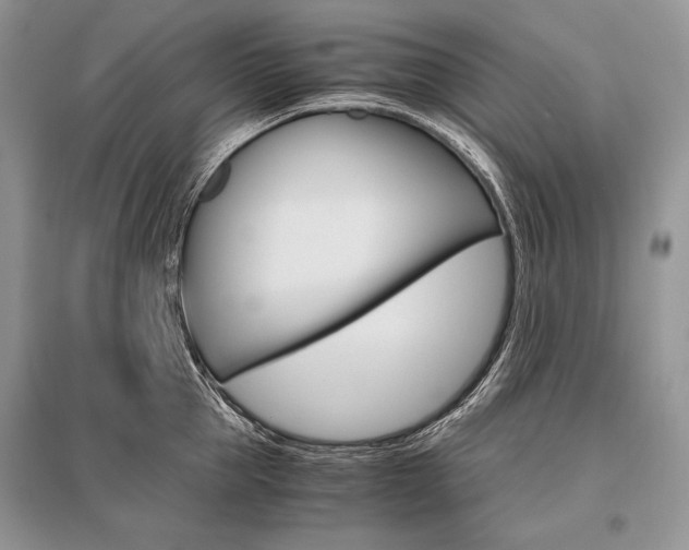 X0000096480953200801241144