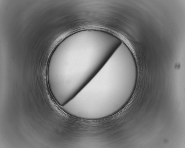 X0000096480954200801241144