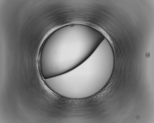 X0000096480955200801241144