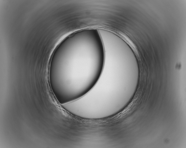 X0000096480956200801241144