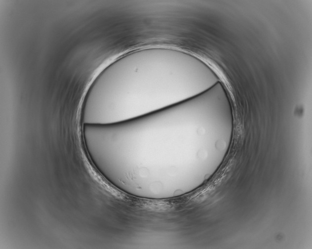 X0000096480957200801241144