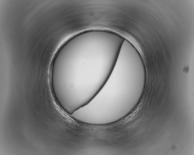 X0000096480958200801241144