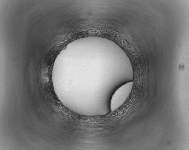 X0000096480962200801241143