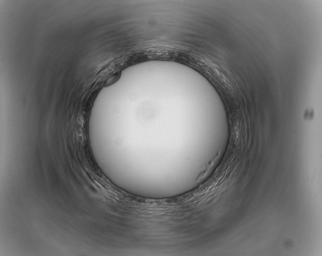 X0000096480964200801241143