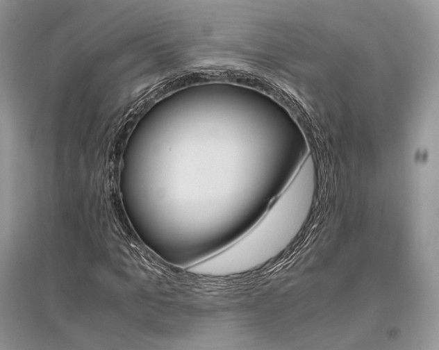 X0000096480965200801241143