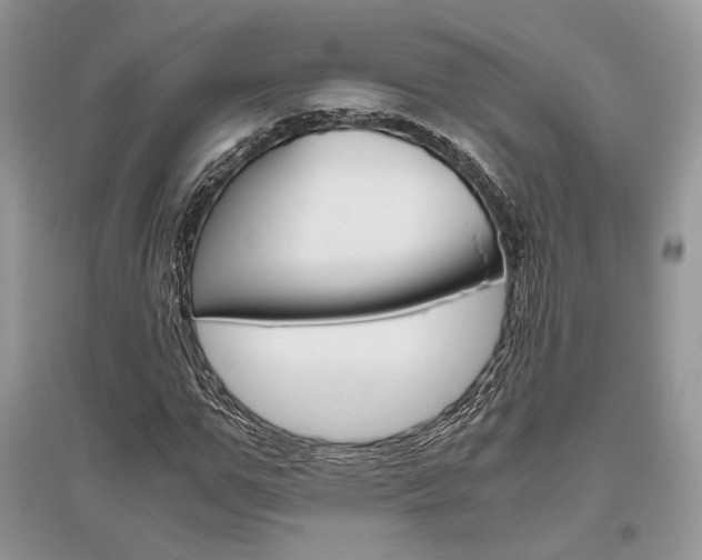 X0000096480967200801241143